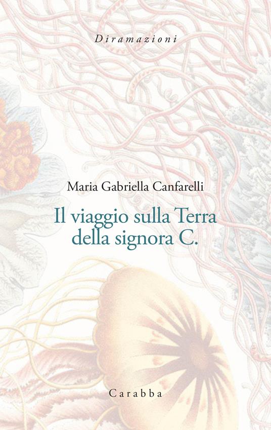 Il viaggio sulla Terra della signora C.