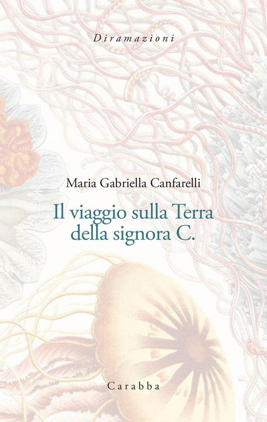 Il viaggio sulla Terra della signora C.