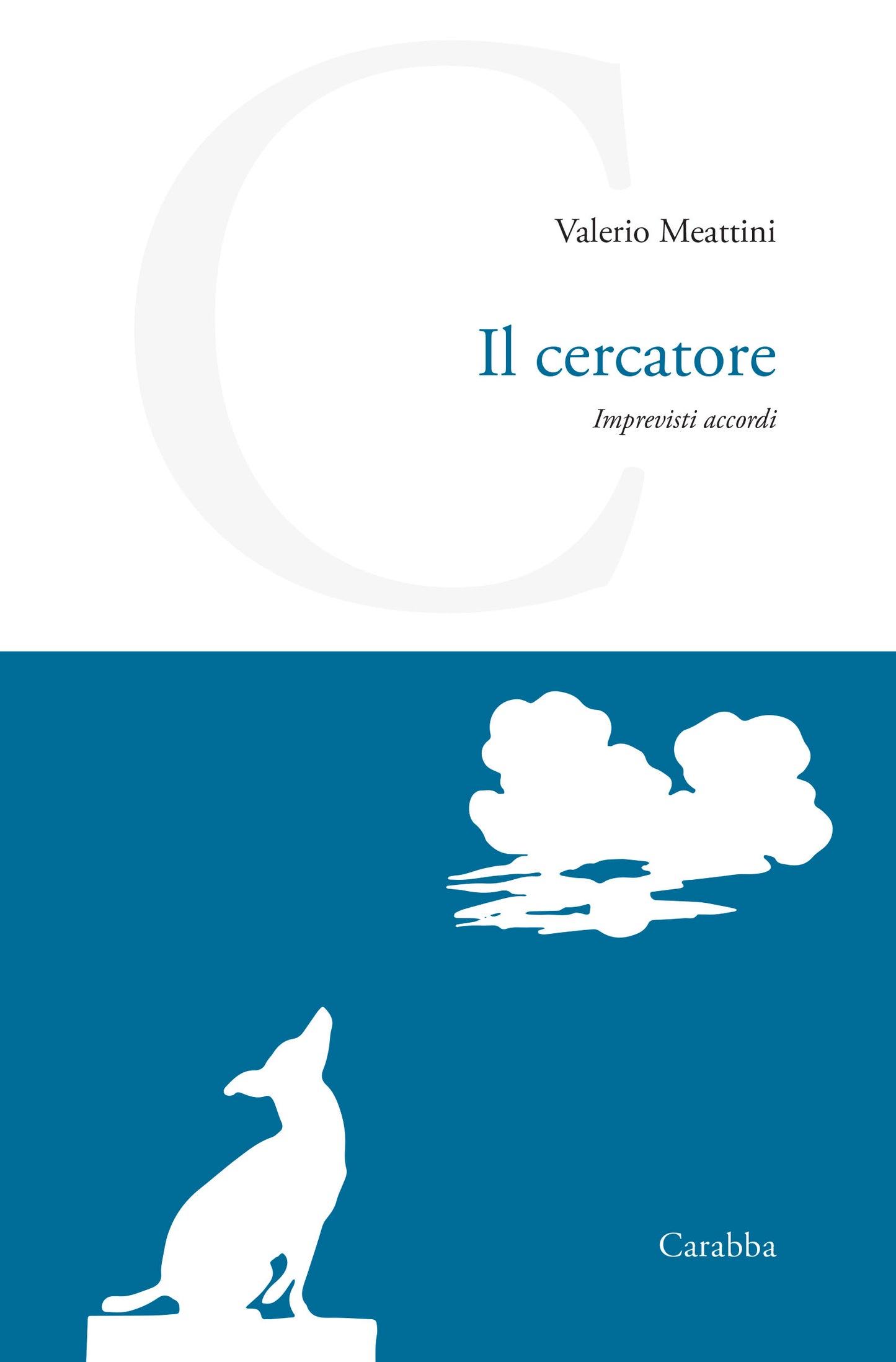 Il cercatore
