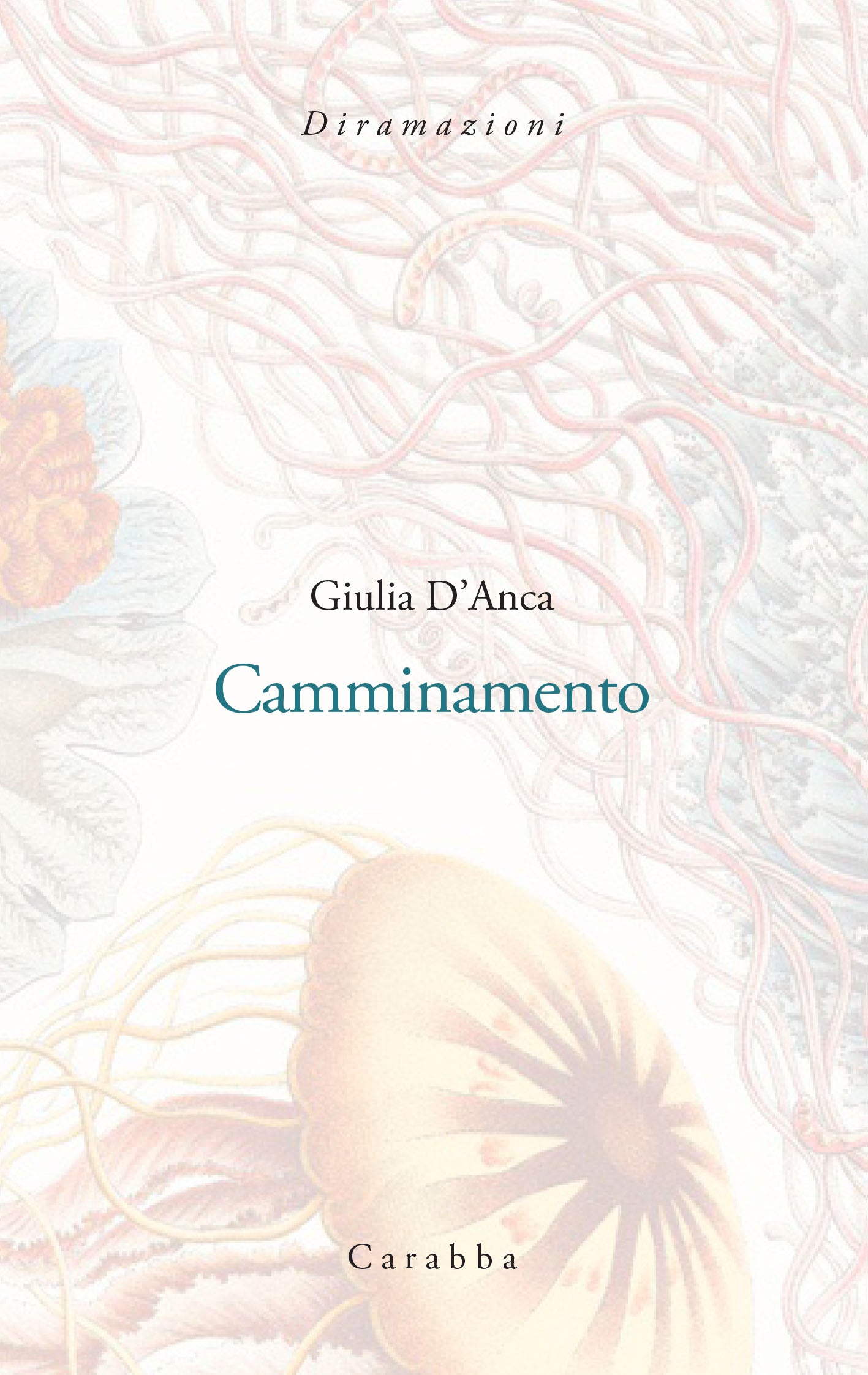 Camminamento
